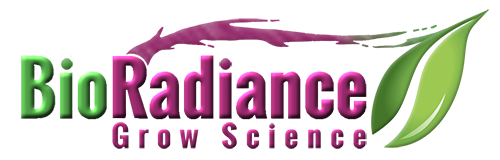 BioRadiance Logo